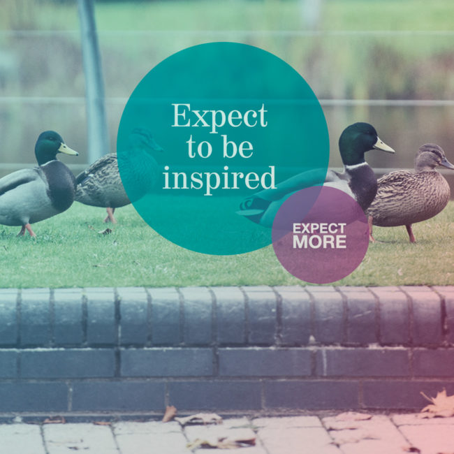 Expect more at Birchwood Park