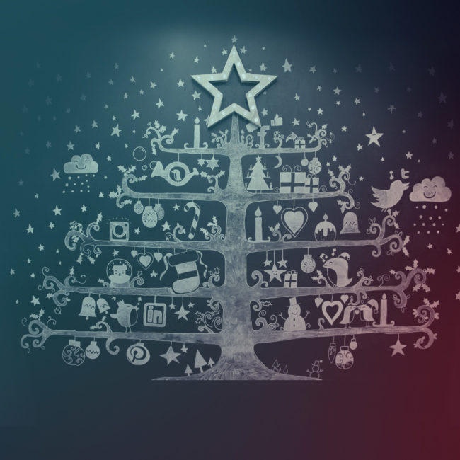 HMA’s Winter Wonder Wall