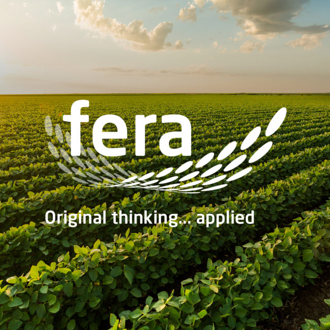 Helping Fera drive awareness of its services and facilities