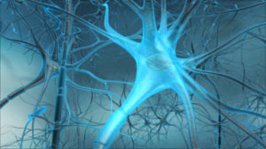 Neuron - 3D Animation and Illustration | HMA